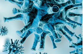Le SARS-CoV-2, la tempête cytokinique, l’activation macrophagique et les lésions vasculaires
